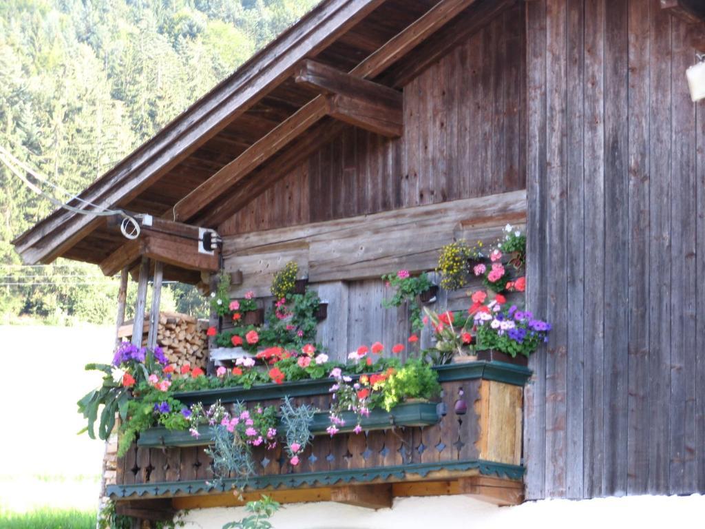 Landgasthof Ledererwirt ξενώνας Ebbs Εξωτερικό φωτογραφία